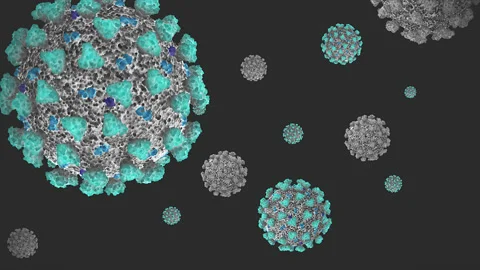 Concept 14-V1 3D Animation of Coronavirus (COVID-19) known as (SARS-CoV-2) Video stock 131593029