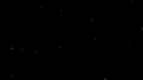 Concept 5-L1 View of Flying Fireflies Glowing at Night Stock Footage 137679348