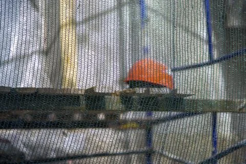 The concept of abandoning construction. The worker's helmet lies behind the p Stock Photos