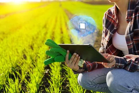 Concept of agricultural technology with artificial intelligence on agro farm Stock Photos