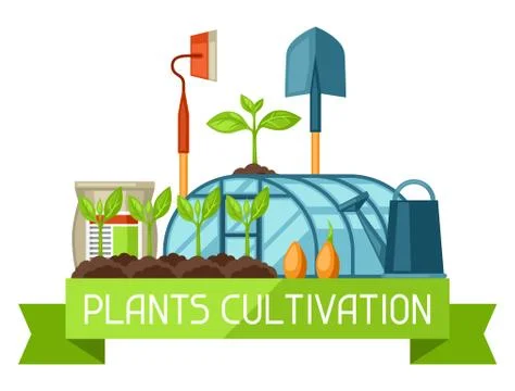 Concept with agriculture objects. Instruments for cultivation, plants seedling Illustration