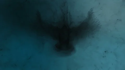 Concept animation of a bird flapping its wings in a dark realm or afterlife Stock Footage 339645588