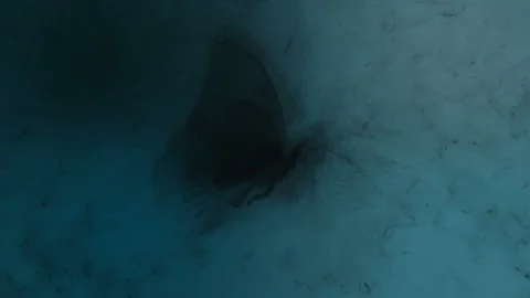 Concept animation of a magic creature in a dark realm or afterlife Stock Footage 340544084