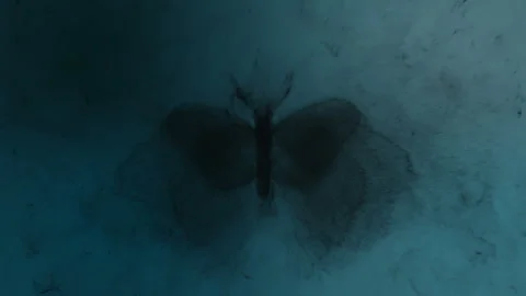 Concept animation of a magic creature in a dark realm or afterlife Stock Footage 340544088
