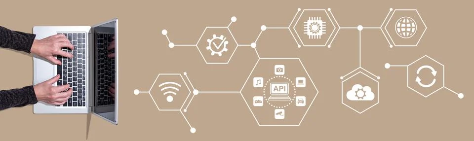 Concept of api Stock-Fotos