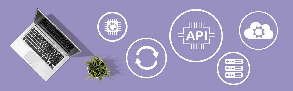 Concept of api Stock-Fotos