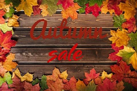 The concept of autumn backgrounds. Dry maple leaves on wooden background with Stock Photos