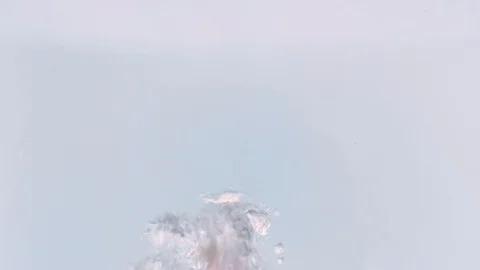 Concept Background: Rose Petals Slowly Fall Into The Water Stock Footage 97608969