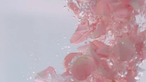 Concept Background: Rose Petals Slowly Fall Into The Water Vídeo Stock 97609121