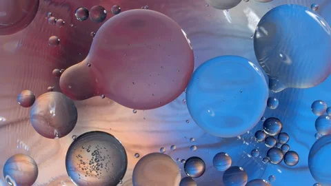 Concept bacteria or germs microorganism cells under microscope in the color Stock Footage 129853823