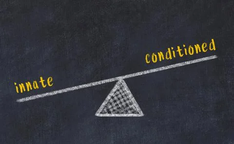 Concept of balance between innate and conditioned. Black chalboard with sketc Stock Photos