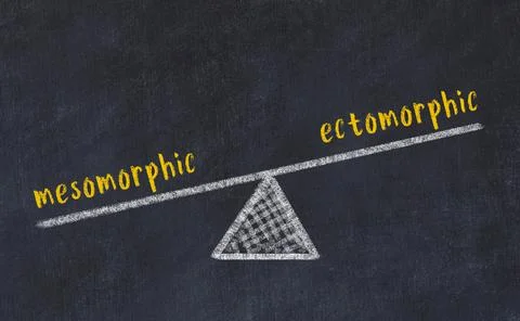Concept of balance between mesomorphic and ectomorphic. Black chalboard with  Foto stock