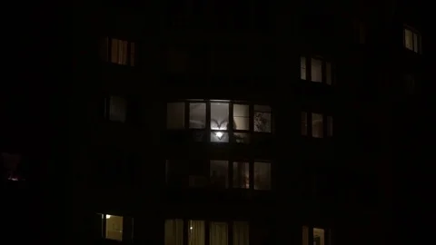 Concept of beating heart in a bright window as symbol of love and fidelity to Stock Footage 72385838