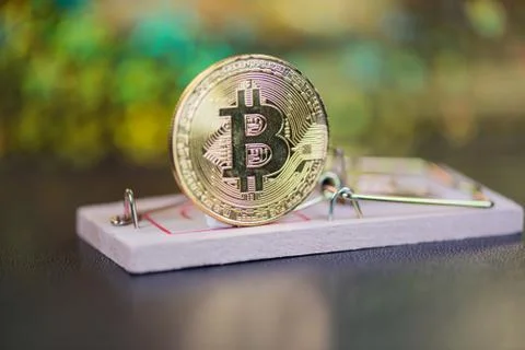 Concept of bitcoin in a  mouse trap. Risks and dangers of investing in the cr Stock Photos