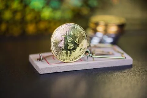 Concept of bitcoin in a  mouse trap. Risks and dangers of investing in the cr Foto stock