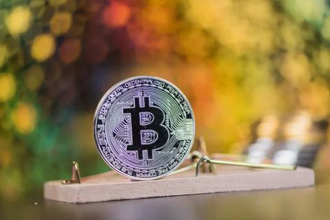 Concept of bitcoin in a  mouse trap. Risks and dangers of investing in the cr Stock Photos