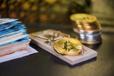 Concept of bitcoin in a  mouse trap. Risks and dangers of investing in the cr Stock Photos