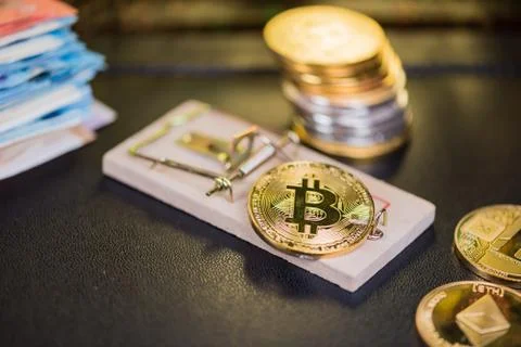Concept of bitcoin in a  mouse trap. Risks and dangers of investing in the cr Stock Photos