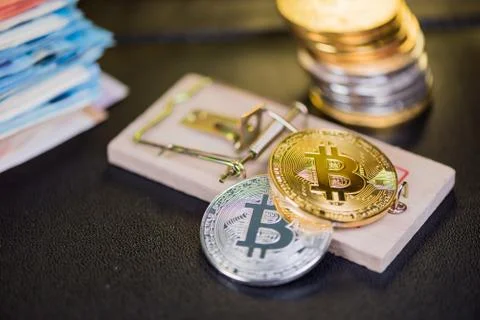 Concept of bitcoin in a  mouse trap. Risks and dangers of investing in the cr Stock Photos