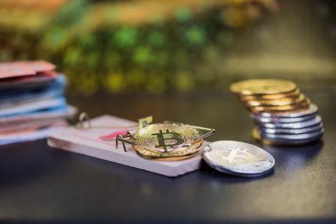 Concept of bitcoin in a  mouse trap. Risks and dangers of investing in the cr Stock Photos