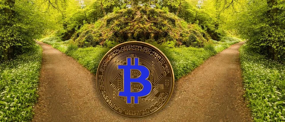 Concept of bitcoin or blockchain fork Bitcoin coin in front of a split in ... Stock Photos