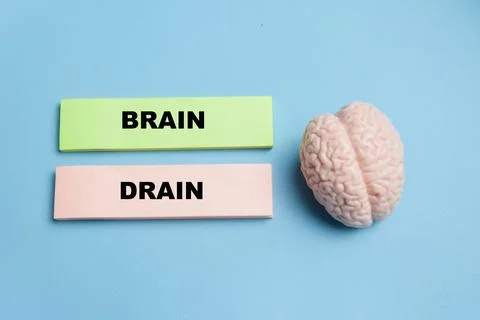 Concept of brain drain write on sticky notes isolated on table. Stock Photos