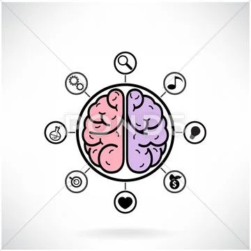 Concept of brain function for education and science Stock Illustration