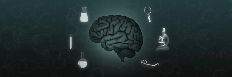 The concept of the brain. laboratory, glasses, microscope, flask, tests Stock Illustration