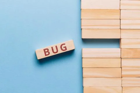 The concept of a bug in the code of the program and the website Photos