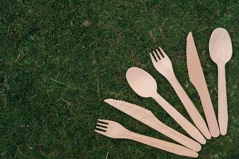 The concept of caring for the environment. On a natural background there is a Stock Photos