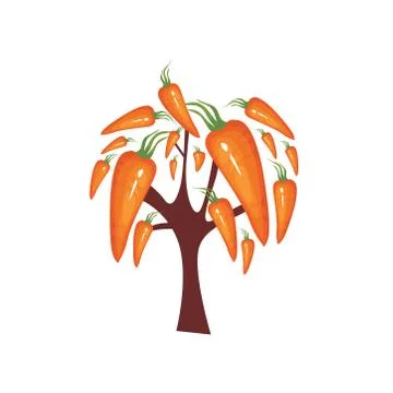 Concept of carrot tree vector illustration Design Stock Illustration