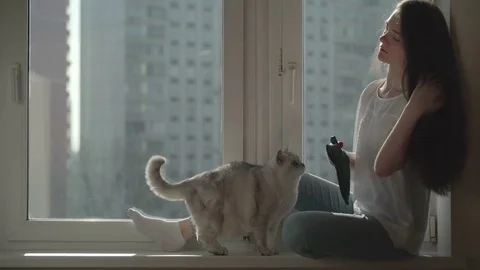 Concept of cat hair as a source of allergy. Concept of the relationship of man Stock Footage 73587602