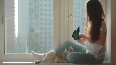 Concept of cat hair as a source of allergy. Medicine for allergies. Cat hair is Stock Footage 73587737