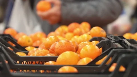 Concept character traits - aggression and rudeness bad manners in the shop Stock-Footage 71515867