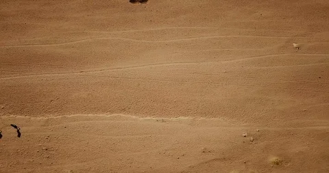 The concept of climate change in desert migration Stock Footage 119130525