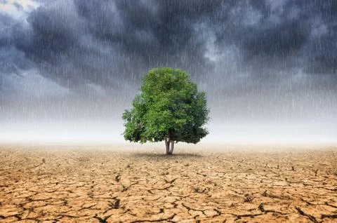 Concept of climate change. Stock Photos
