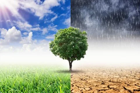 Concept of climate change. Stock Photos