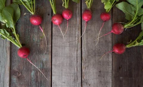 Concept composition Fresh radish with bots rests on old wooden boards. Top vi Stock Photos