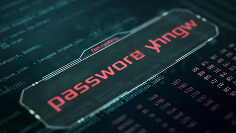 Concept of computer security Stock Footage 219382657