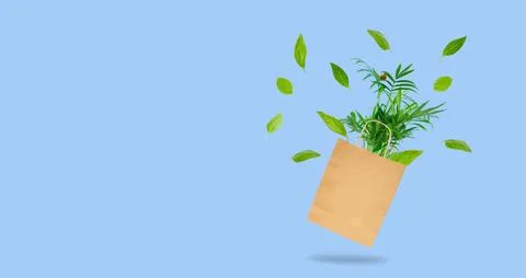The concept of conscious consumption, copy space. Stock Photos