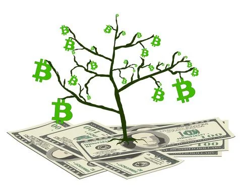 Concept of converting bitcoin from dollars isolated on white. The bitcoin tree Stock Illustration