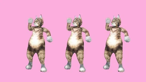 Concept Cool and Fun Pet Kitty Dancing Hip Hop Style Move to the Beat Animated Stock-Footage 108676644