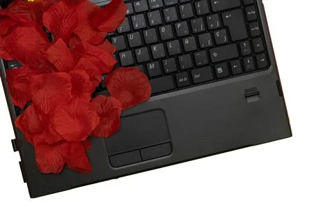 Concept of creativity at work. Rose petals on a keyboard. Copy space. Stock Photos