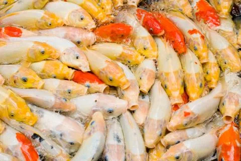 Concept of crowded space 스톡 사진