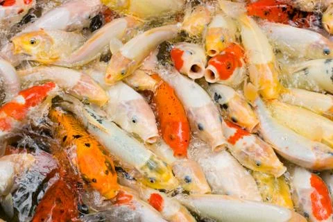 Concept of crowded space 写真素材