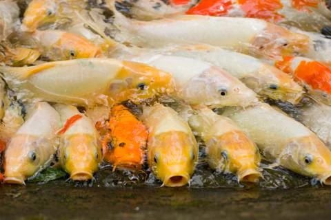 Concept of crowded space 스톡 사진