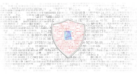 The concept of data protection. Concept of protection of important data. The Video stock 63313764