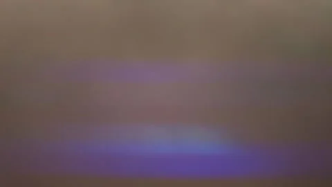 Concept data transmission in the fog. Blue digital flow, mist. Dynamic transfer. Stock Footage 159381411