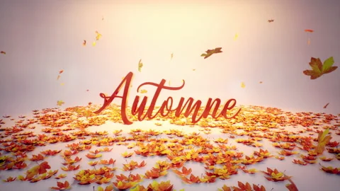 Concept de design d'automne avec des feuilles qui tombent Stock Footage 205512975