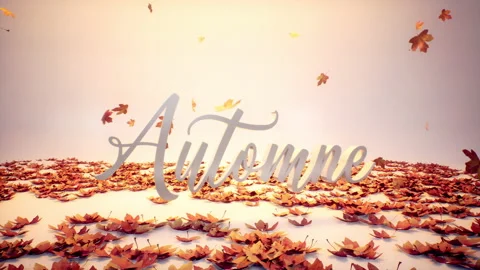 Concept de design d'automne avec des feuilles qui tombent Stock Footage 205522085